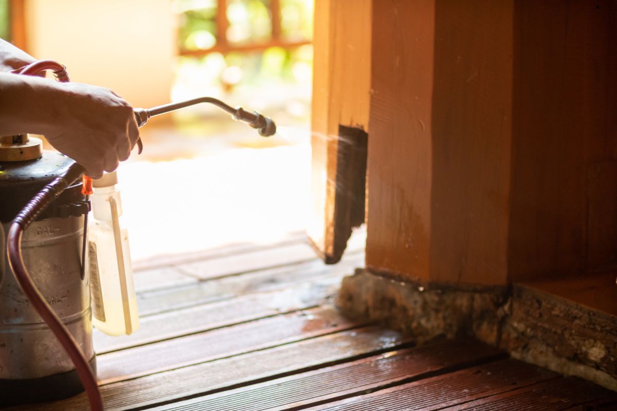 A person applying a sprayer to treat a wood floor for termite-proofing services, ensuring long-lasting protection.